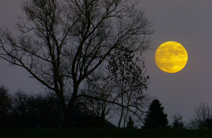 As if you were possessed by a ghost on the full moon...What kind of disease is it?