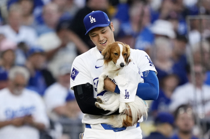 Ohtani is also desperate. This year is the last time → No selection until May for the command tower...3 times MVP in 4 years → Will it be difficult to win the Cy Young Award? 