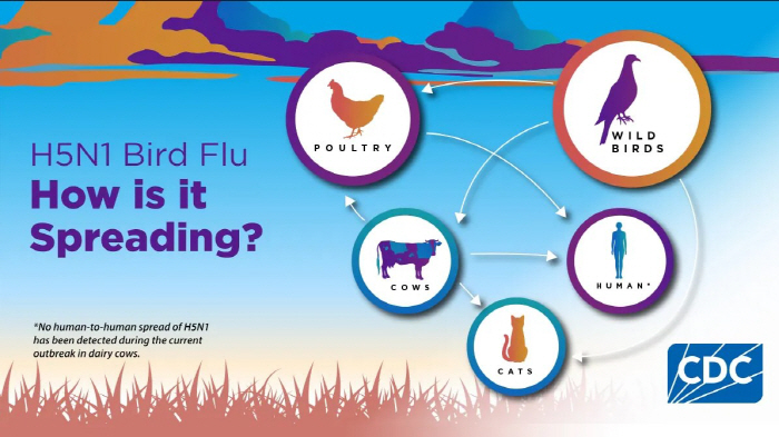 Avian Influenza Infected Person Dies...How to prevent and deal with virus infection?