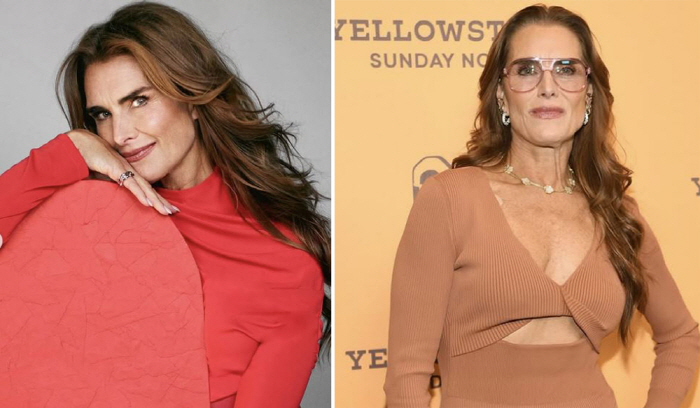 Brooke Shields, goddess of book support, confesses to vaginal plastic surgery without consent...I feel like I've been molested