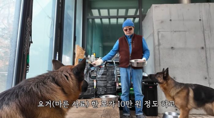 'More than 400 million won' Roh Joo-hyun reveals his all-time expensive dog →'Many people believe that he died after being blocked by dog hair' 