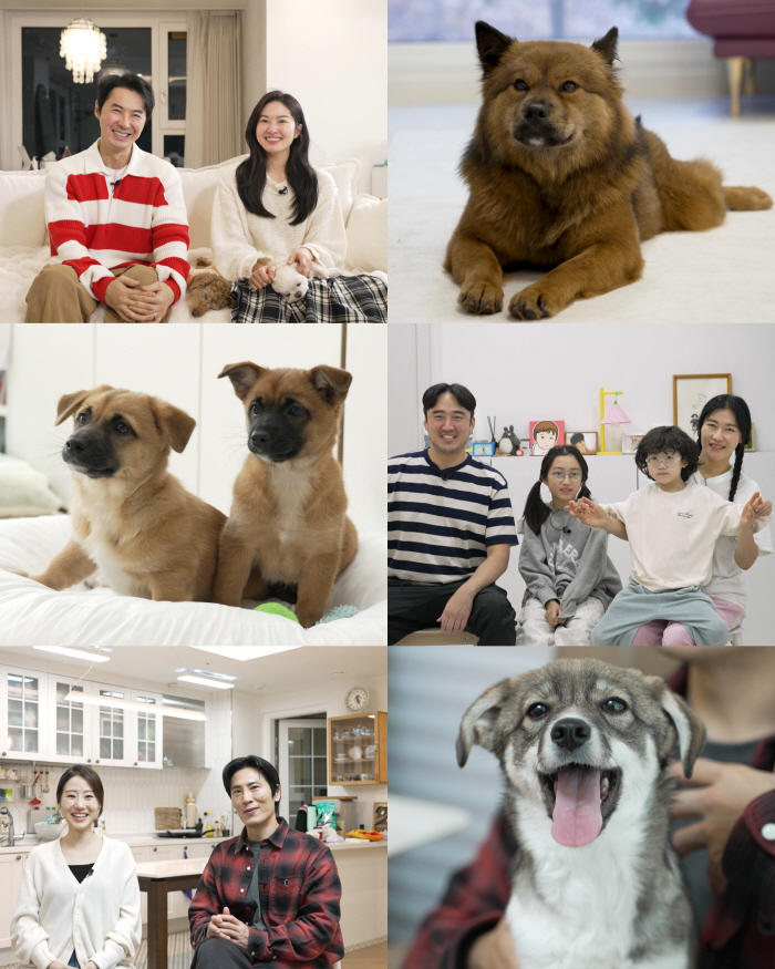 5th year married ♥ Ryu Se-seo adopted a new familyImbo, a mixed dog driven to euthanasia (animal farm)