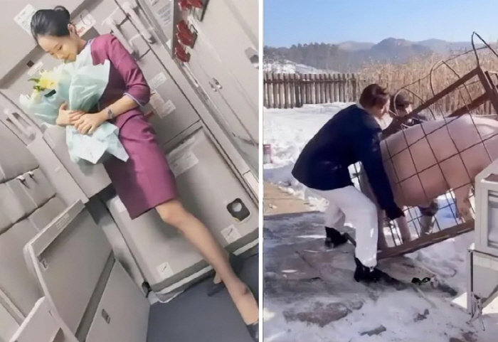 A female flight attendant turned pig farmer earns 40 million won in two months