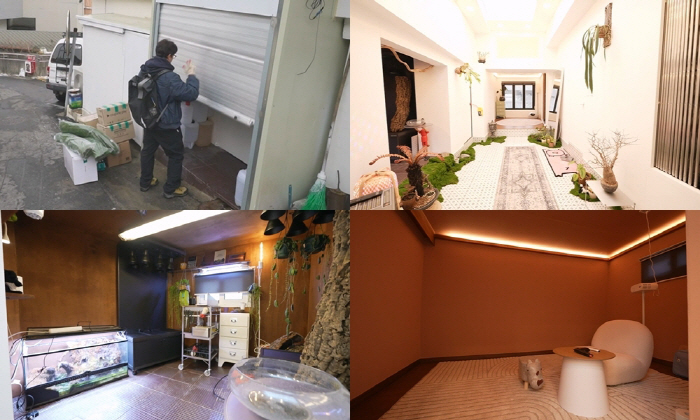 Kim Dae-ho fixed 200 million houses in Daldongne...First reveal of a luxury hotel house after remodeling (Nahonsan)