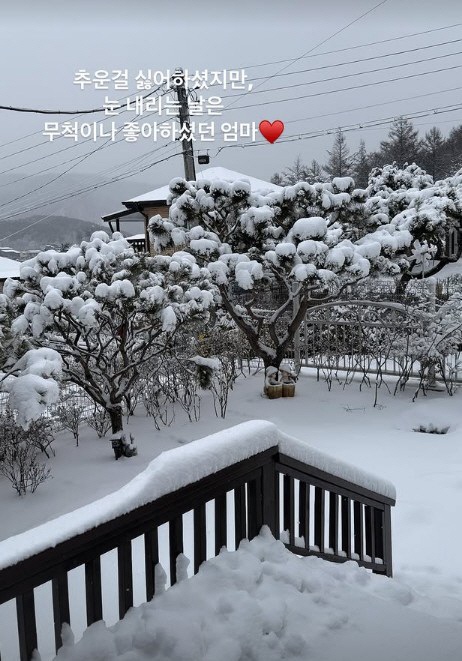 Seo Hyo-rim, Kim Su-mi who misses the Lunar New Year...Mom who didn't like cold but liked snow