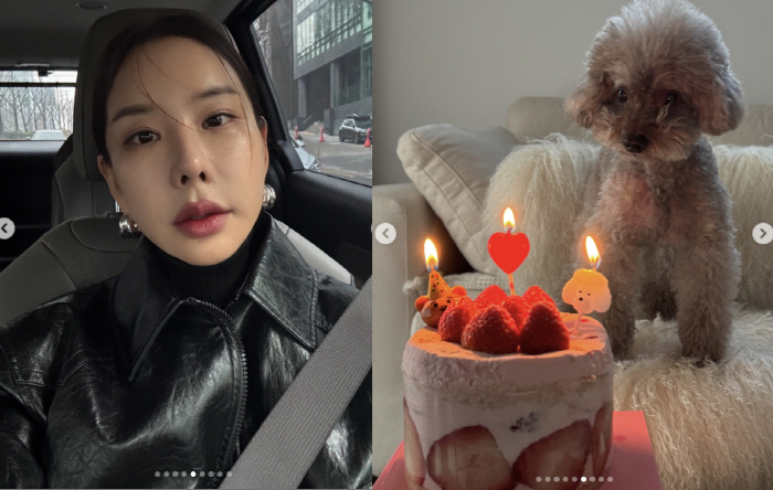 Kim Jun-hee, how much money do you have? Your dog's birthday party  600,000 won luxury stockings die