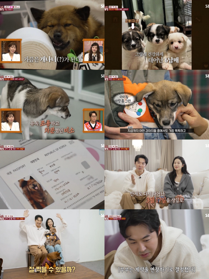 Jun Jin ♥ Ryu Seo, I took out the contract again..Decided to extend cohabitation on the day of separation (animal farm)